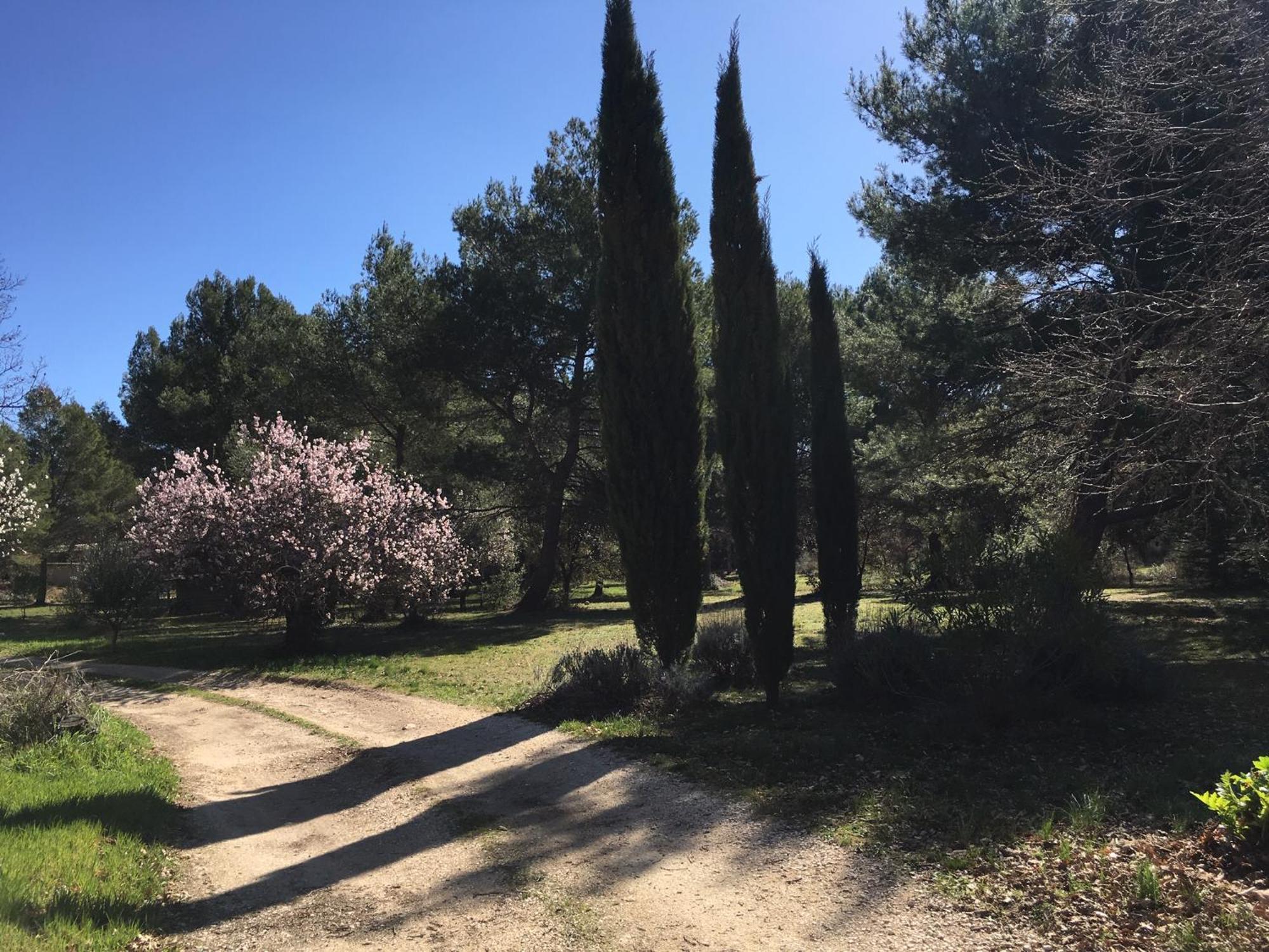 Le Domaine De Gaia Apartment Aix-en-Provence Luaran gambar